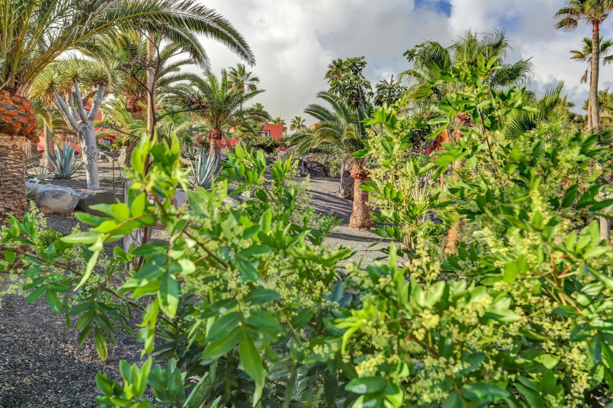 Oasis Royal Apartment Corralejo Exterior photo