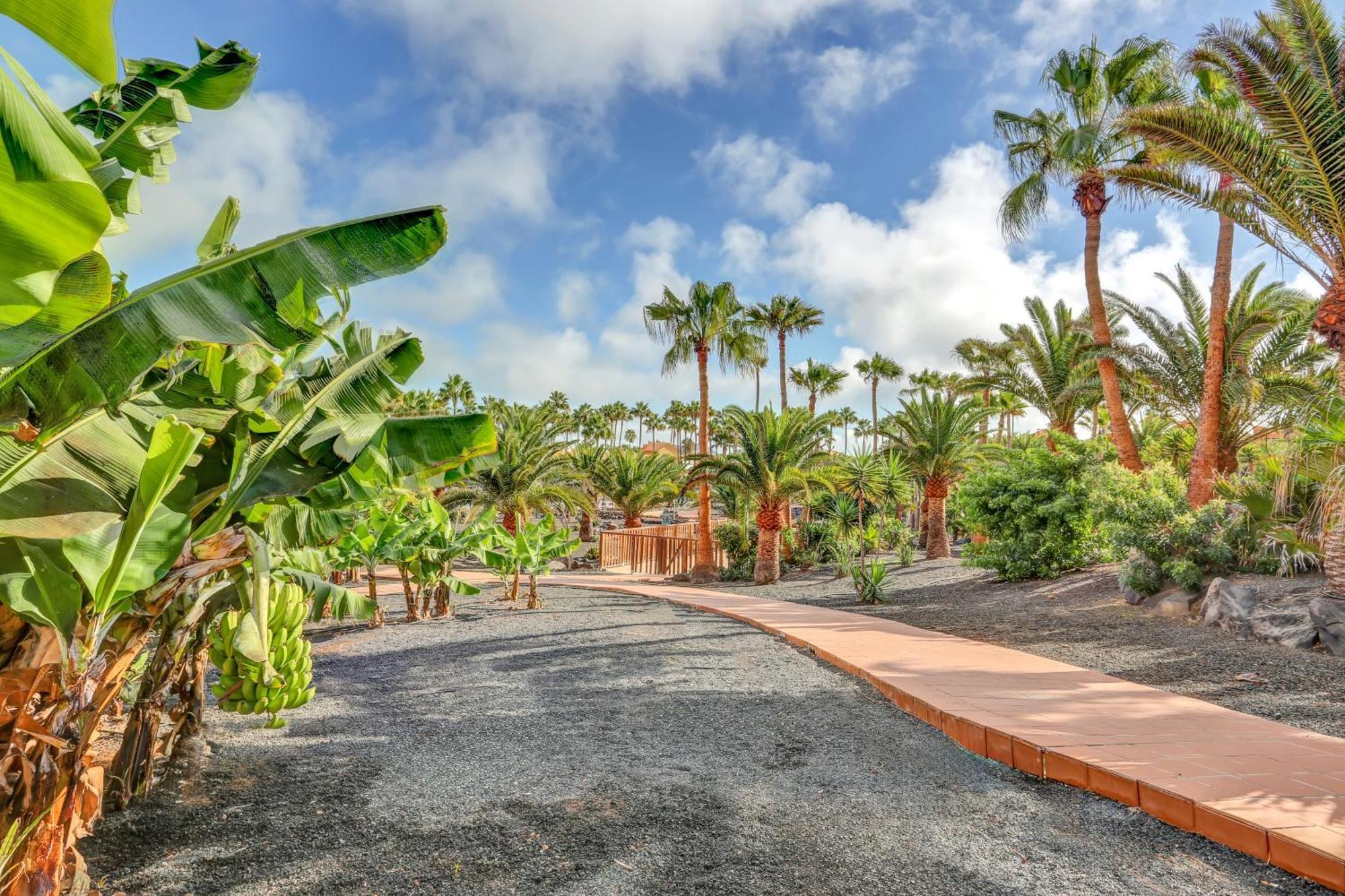 Oasis Royal Apartment Corralejo Exterior photo